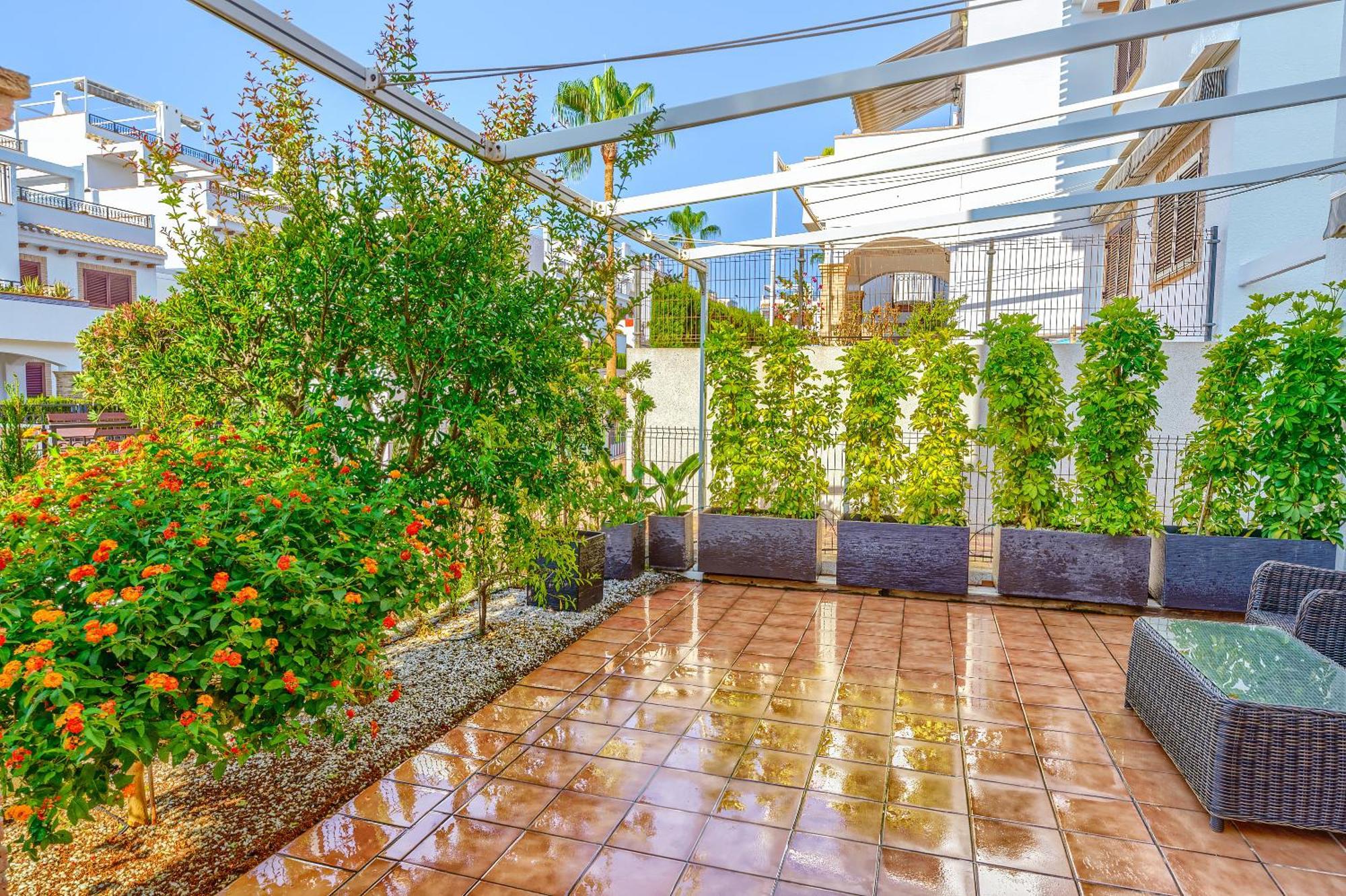 Sunny Apartments In La Mata, Azul Beach 2 Torrevieja Zewnętrze zdjęcie